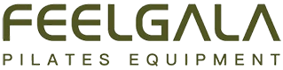 Shenzhen  Desen  Remise en forme  Technologie  Cie,  Ltd.